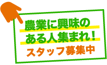 農業に興味の ある人集まれ！スタッフ募集中